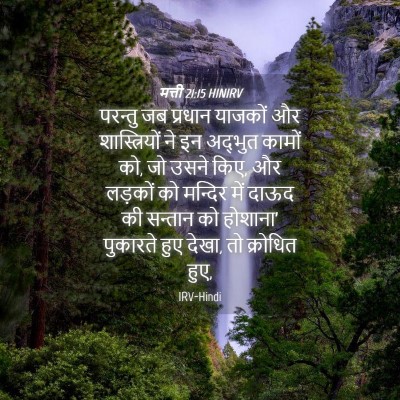 Picture 04 - मत्ती 21:15 HINIRV - परन्तु जब प्रधान - Bible Verse Picture