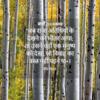 Picture 04 - मत्ती 22:11 HINIRV - “जब राजा अतिथियों - Bible Verse Picture