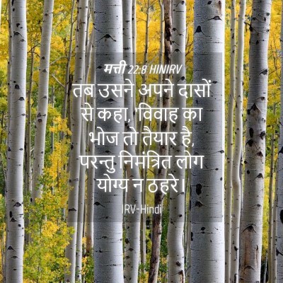 Picture 04 - मत्ती 22:8 HINIRV - तब उसने अपने दासों - Bible Verse Picture