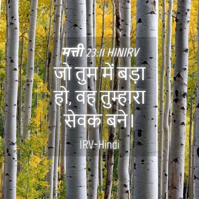 Picture 04 - मत्ती 23:11 HINIRV - जो तुम में बड़ा हो, - Bible Verse Picture