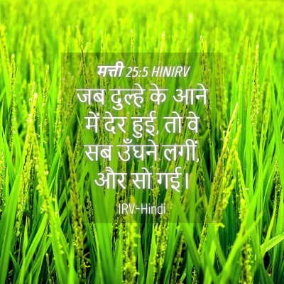 Picture 04 - मत्ती 25:5 HINIRV - जब दुल्हे के आने - Bible Verse Picture