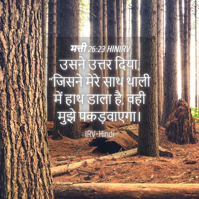 Picture 04 - मत्ती 26:23 HINIRV - उसने उत्तर दिया, - Bible Verse Picture