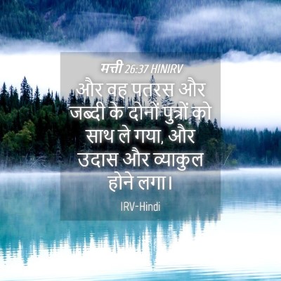 Picture 04 - मत्ती 26:37 HINIRV - और वह पतरस और जब्दी - Bible Verse Picture