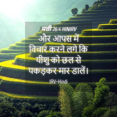 Picture 04 - मत्ती 26:4 HINIRV - और आपस में विचार - Bible Verse Picture
