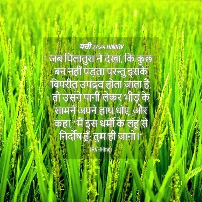Picture 04 - मत्ती 27:24 HINIRV - जब पिलातुस ने देखा, - Bible Verse Picture