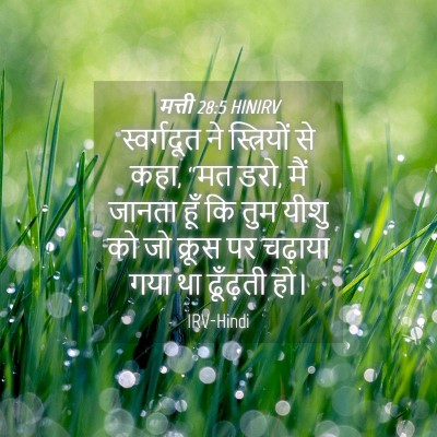 Picture 04 - मत्ती 28:5 HINIRV - स्वर्गदूत ने - Bible Verse Picture