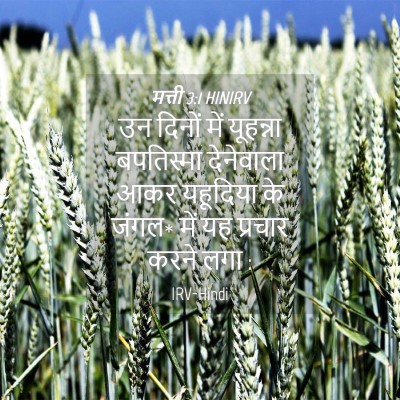 Picture 04 - मत्ती 3:1 HINIRV - उन दिनों में - Bible Verse Picture