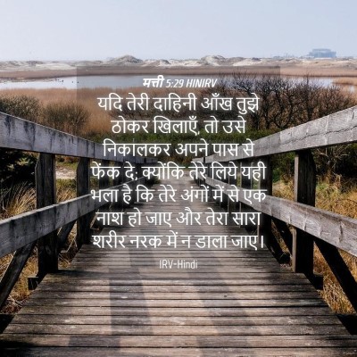 Picture 04 - मत्ती 5:29 HINIRV - यदि तेरी दाहिनी - Bible Verse Picture