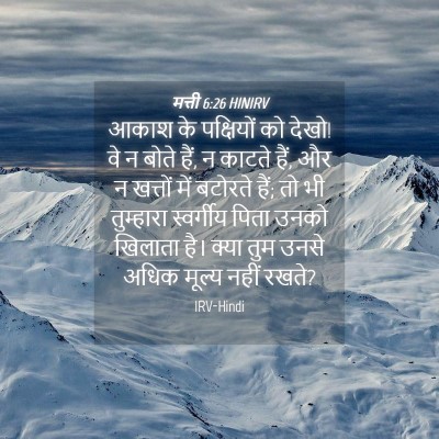 Picture 04 - मत्ती 6:26 HINIRV - आकाश के पक्षियों - Bible Verse Picture