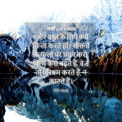 Picture 04 - मत्ती 6:28 HINIRV - “और वस्त्र के लिये - Bible Verse Picture