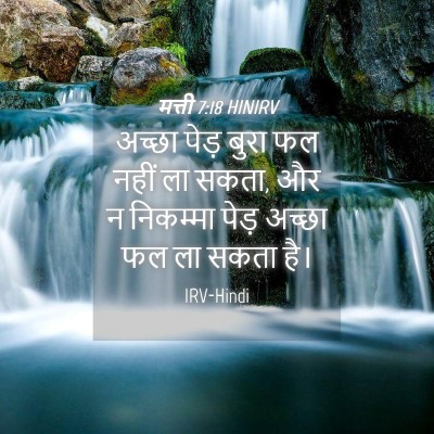 Picture 04 - मत्ती 7:18 HINIRV - अच्छा पेड़ बुरा फल - Bible Verse Picture
