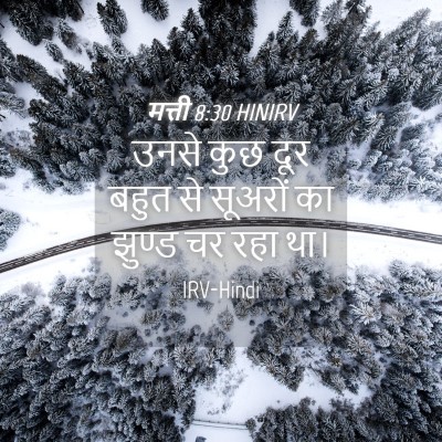 Picture 04 - मत्ती 8:30 HINIRV - उनसे कुछ दूर बहुत - Bible Verse Picture