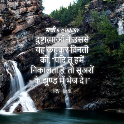 Picture 04 - मत्ती 8:31 HINIRV - दुष्टात्माओं ने - Bible Verse Picture