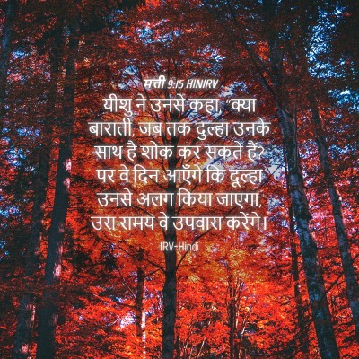 Picture 04 - मत्ती 9:15 HINIRV - यीशु ने उनसे कहा, - Bible Verse Picture