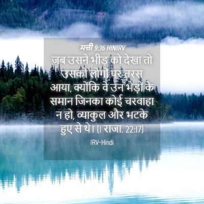 Picture 04 - मत्ती 9:36 HINIRV - जब उसने भीड़ को - Bible Verse Picture