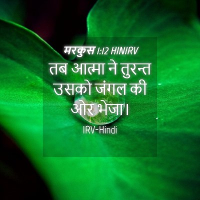 Picture 04 - मरकुस 1:12 HINIRV - तब आत्मा ने तुरन्त - Bible Verse Picture
