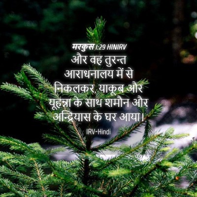 Picture 04 - मरकुस 1:29 HINIRV - और वह तुरन्त - Bible Verse Picture
