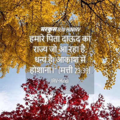 Picture 04 - मरकुस 11:10 HINIRV - हमारे पिता दाऊद का - Bible Verse Picture