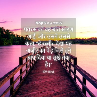 Picture 04 - मरकुस 11:21 HINIRV - पतरस को वह बात - Bible Verse Picture