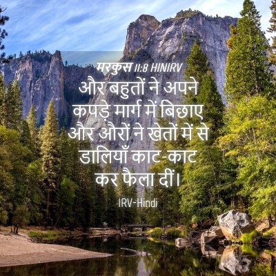 Picture 04 - मरकुस 11:8 HINIRV - और बहुतों ने अपने - Bible Verse Picture
