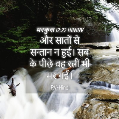 Picture 04 - मरकुस 12:22 HINIRV - और सातों से सन्तान - Bible Verse Picture