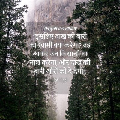 Picture 04 - मरकुस 12:9 HINIRV - “इसलिए दाख की बारी - Bible Verse Picture
