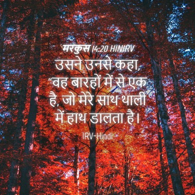 Picture 04 - मरकुस 14:20 HINIRV - उसने उनसे कहा, “वह - Bible Verse Picture
