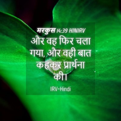 Picture 04 - मरकुस 14:39 HINIRV - और वह फिर चला गया, - Bible Verse Picture