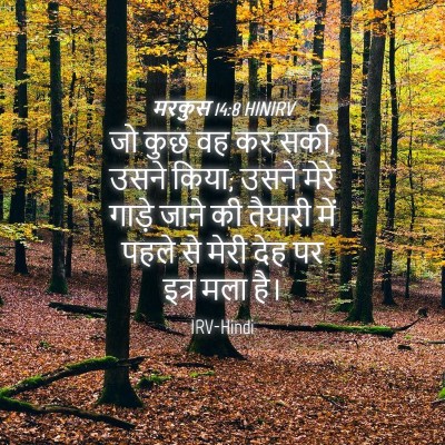 Picture 04 - मरकुस 14:8 HINIRV - जो कुछ वह कर सकी, - Bible Verse Picture