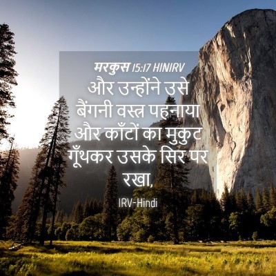 Picture 04 - मरकुस 15:17 HINIRV - और उन्होंने उसे - Bible Verse Picture