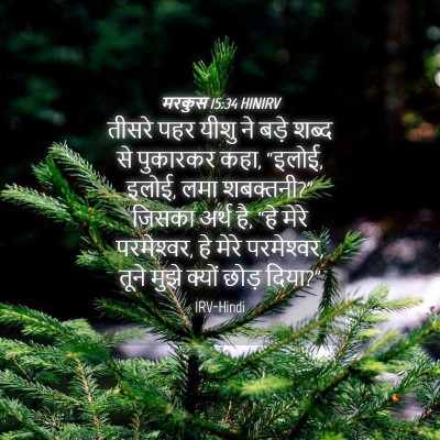 Picture 04 - मरकुस 15:34 HINIRV - तीसरे पहर यीशु ने - Bible Verse Picture