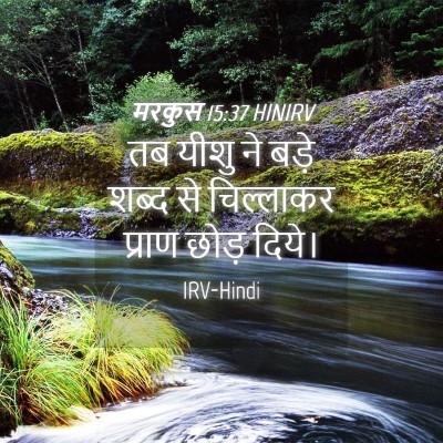 Picture 04 - मरकुस 15:37 HINIRV - तब यीशु ने बड़े - Bible Verse Picture