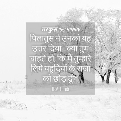Picture 04 - मरकुस 15:9 HINIRV - पिलातुस ने उनको यह - Bible Verse Picture