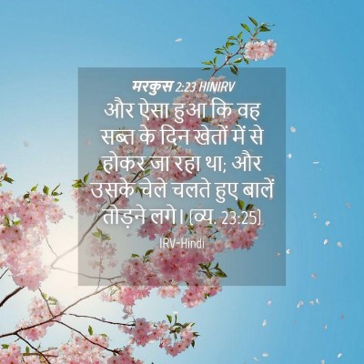 Picture 04 - मरकुस 2:23 HINIRV - और ऐसा हुआ कि वह - Bible Verse Picture