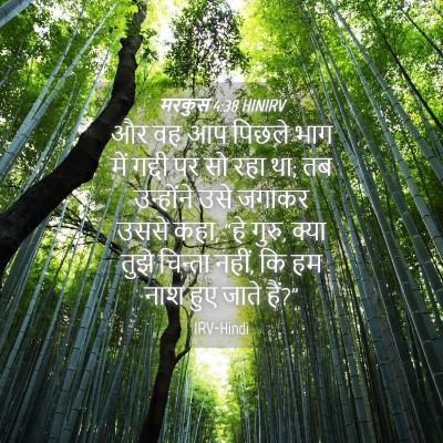 Picture 04 - मरकुस 4:38 HINIRV - और वह आप पिछले भाग - Bible Verse Picture