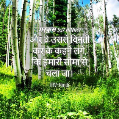 Picture 04 - मरकुस 5:17 HINIRV - और वे उससे विनती कर - Bible Verse Picture