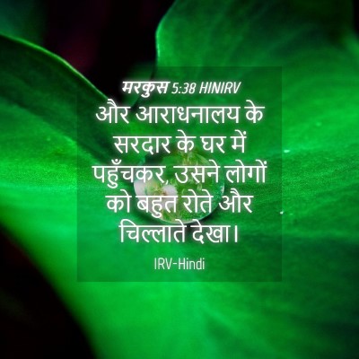 Picture 04 - मरकुस 5:38 HINIRV - और आराधनालय के - Bible Verse Picture