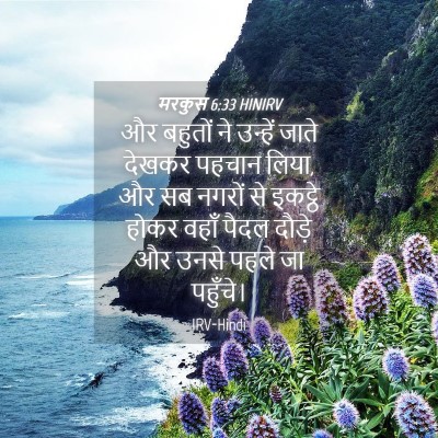 Picture 04 - मरकुस 6:33 HINIRV - और बहुतों ने - Bible Verse Picture
