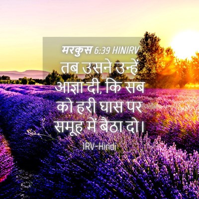Picture 04 - मरकुस 6:39 HINIRV - तब उसने उन्हें - Bible Verse Picture