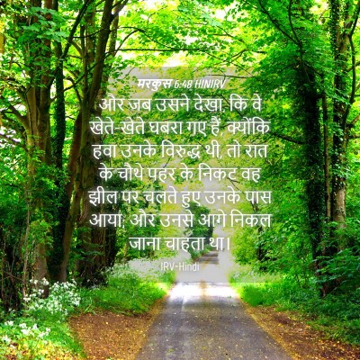 Picture 04 - मरकुस 6:48 HINIRV - और जब उसने देखा, कि - Bible Verse Picture