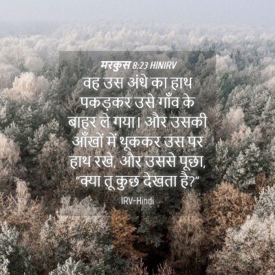 Picture 04 - मरकुस 8:23 HINIRV - वह उस अंधे का हाथ - Bible Verse Picture
