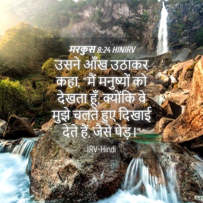 Picture 04 - मरकुस 8:24 HINIRV - उसने आँख उठाकर कहा, - Bible Verse Picture