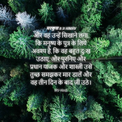 Picture 04 - मरकुस 8:31 HINIRV - और वह उन्हें - Bible Verse Picture