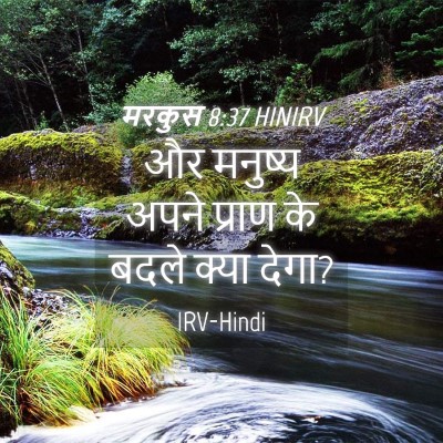 Picture 04 - मरकुस 8:37 HINIRV - और मनुष्य अपने - Bible Verse Picture