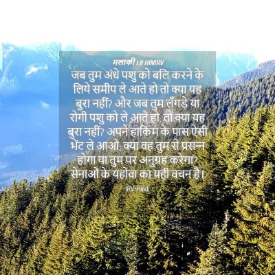 Picture 04 - मलाकी 1:8 HINIRV - जब तुम अंधे पशु को - Bible Verse Picture