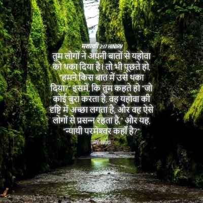 Picture 04 - मलाकी 2:17 HINIRV - तुम लोगों ने अपनी - Bible Verse Picture