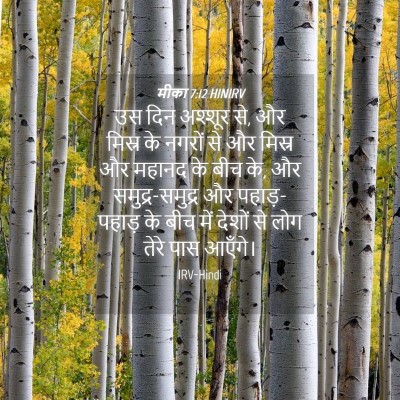 Picture 04 - मीका 7:12 HINIRV - उस दिन अश्शूर से, - Bible Verse Picture
