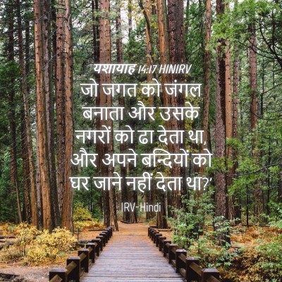 Picture 04 - यशायाह 14:17 HINIRV - जो जगत को जंगल - Bible Verse Picture