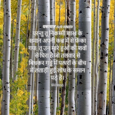 Picture 04 - यशायाह 14:19 HINIRV - परन्तु तू निकम्मी - Bible Verse Picture