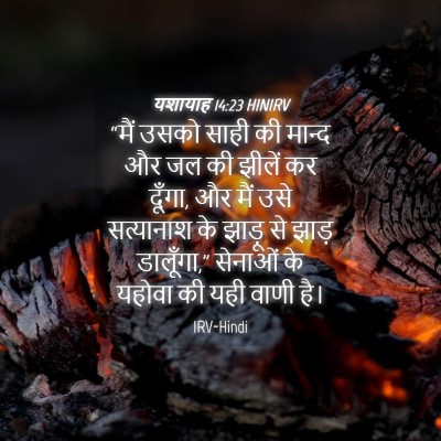 Picture 04 - यशायाह 14:23 HINIRV - “मैं उसको साही की - Bible Verse Picture